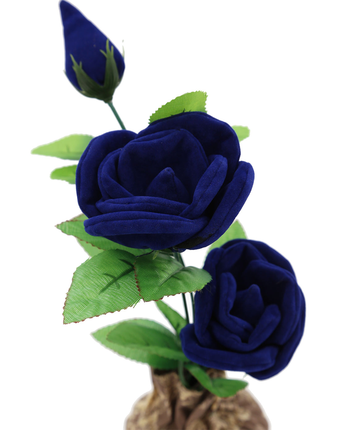 蓝玫瑰竹碳插花